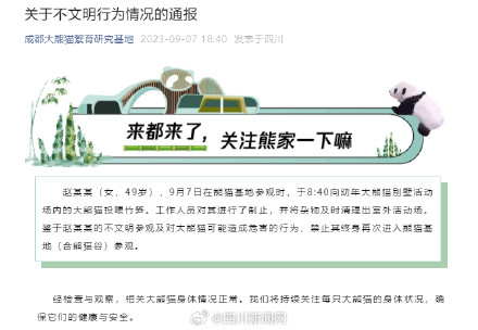 女子向大熊猫投喂竹笋 被终身禁入熊猫基地 女子向大熊猫投喂竹笋 被终身禁入熊猫基地