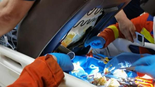 看着都疼！合肥一男子被护栏贯穿！