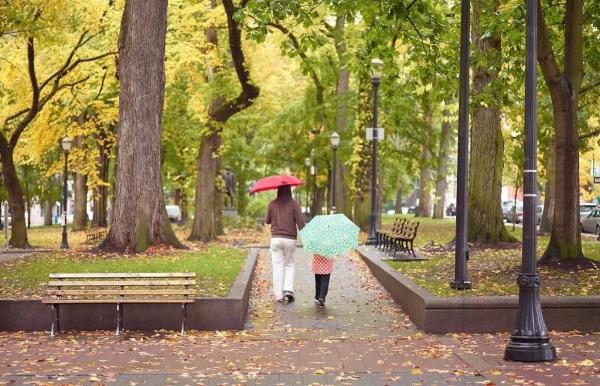 今日白露 | 凝玉花上露 清影入山秋