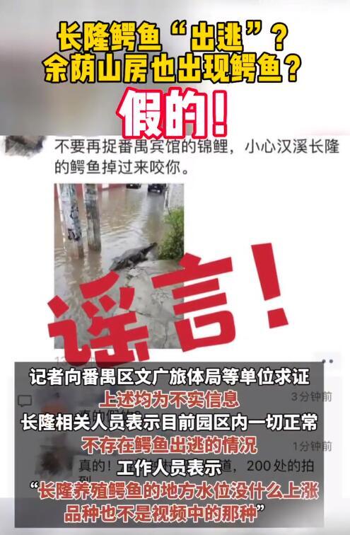 广州番禺辟谣“鳄鱼出逃”，请大家不信谣不传谣！