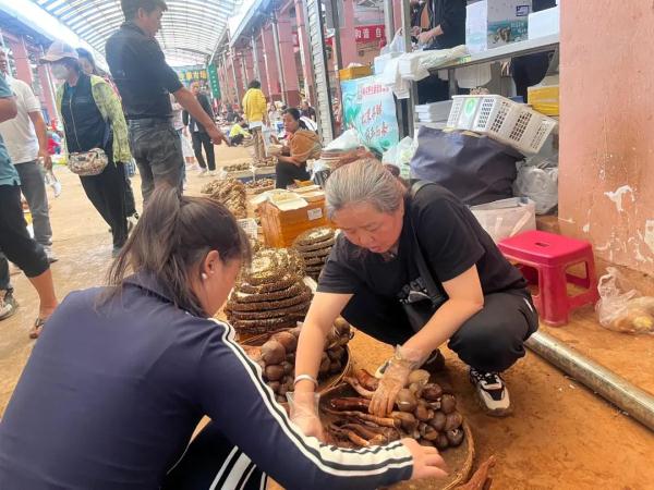 吃货抓紧！昆明野生菌数量大减 见手青价格猛涨