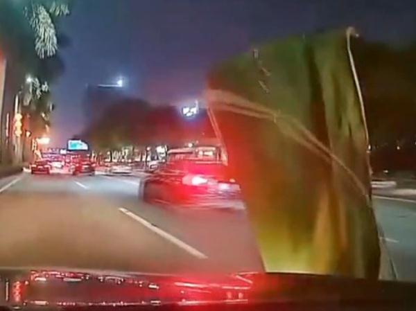 小心天降大王椰树叶！广东已有车主中招……