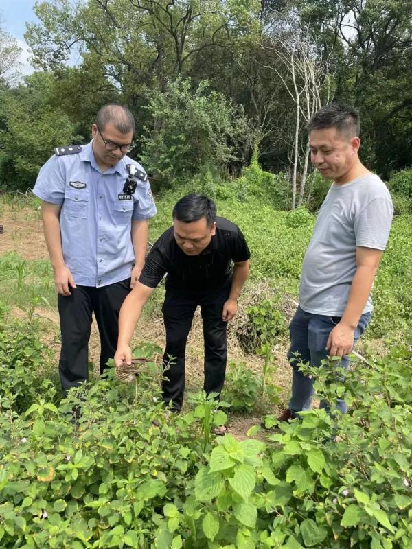 居民家中误入特殊“客人”,警民携手救助 居民家中误入特殊“客人”,警民携手救助