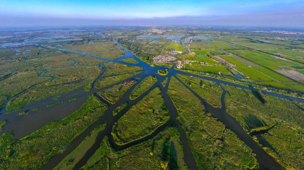 江苏盐城:九龙口湿地生态美 江苏盐城:九龙口湿地生态美