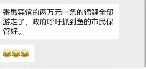 广州暴雨致鳄鱼出逃、高价锦鲤游失?各方回应来了 广州暴雨致鳄鱼出逃、高价锦鲤游失?各方回应来了