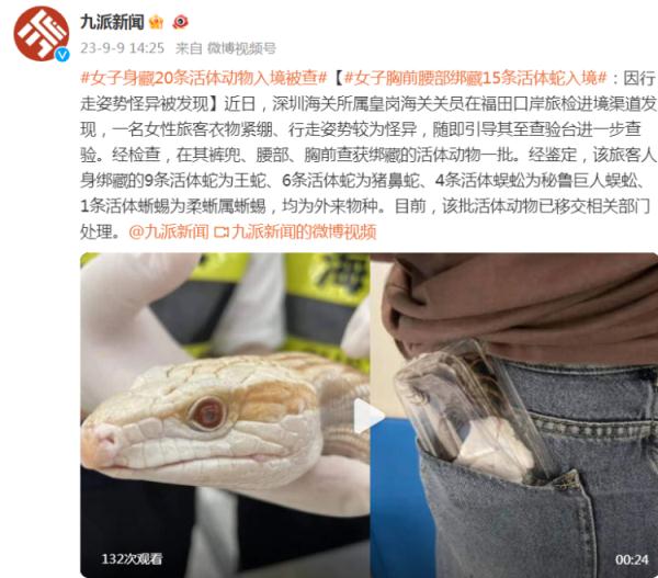 女子胸前腰部绑藏15条活体蛇入境，因行走姿势怪异被发现
