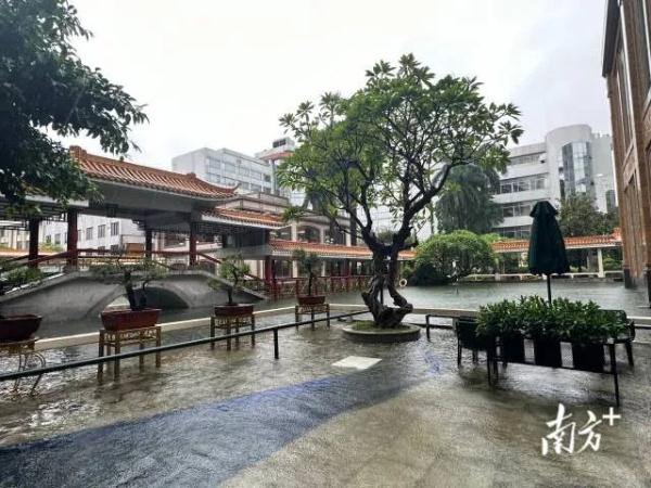 广州暴雨致鳄鱼出逃、高价锦鲤游失?各方回应来了 广州暴雨致鳄鱼出逃、高价锦鲤游失?各方回应来了