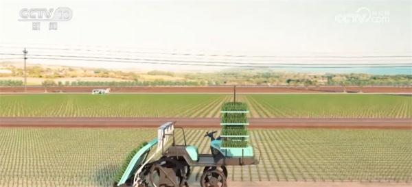 高效便捷 动画演示“全程智能化农业”从种到收全过程 高效便捷 动画演示“全程智能化农业”从种到收全过程