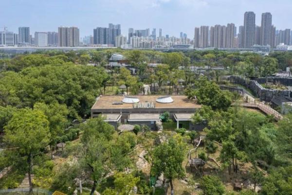 官宣：大熊猫“武林”“盟盟”来武汉了！