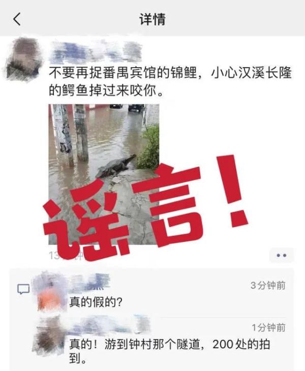 广州暴雨致鳄鱼出逃、高价锦鲤游失?各方回应来了 广州暴雨致鳄鱼出逃、高价锦鲤游失?各方回应来了