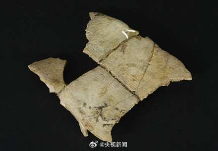 比甲骨文还早数千年的符号说了啥 比甲骨文还早数千年的符号说了啥