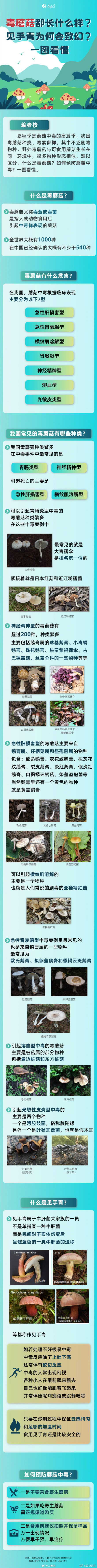 涨知识!一图看懂毒蘑菇都长什么样 涨知识!一图看懂毒蘑菇都长什么样
