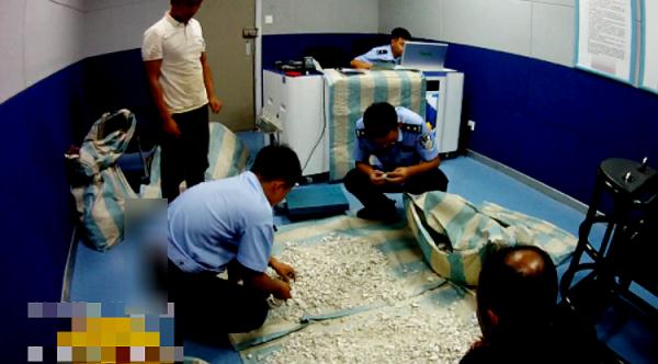 30人盗挖“龙骨”180余公斤！宁夏海原警方查处3起盗掘古脊椎动物化石案