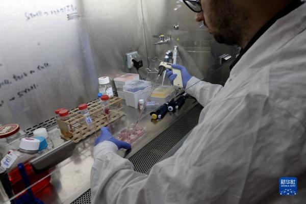 以色列研究人员通过干细胞创建出人类早期胚胎模型