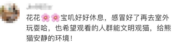 感冒了！“顶流女星”，宣布暂停→