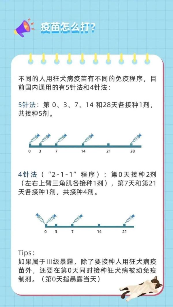 狂犬病发病后致死率近100%！这些救命知识要知道