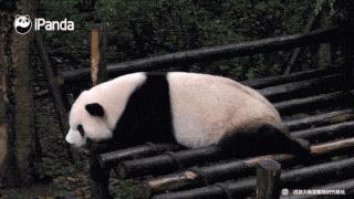 感冒了！“顶流女星”，宣布暂停→