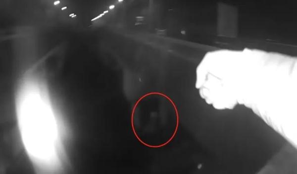 上海一车主为躲查酒驾跳入美兰湖2小时？不止一例……