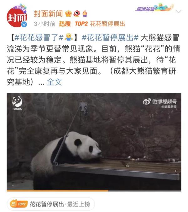 感冒了！“顶流女星”，宣布暂停→