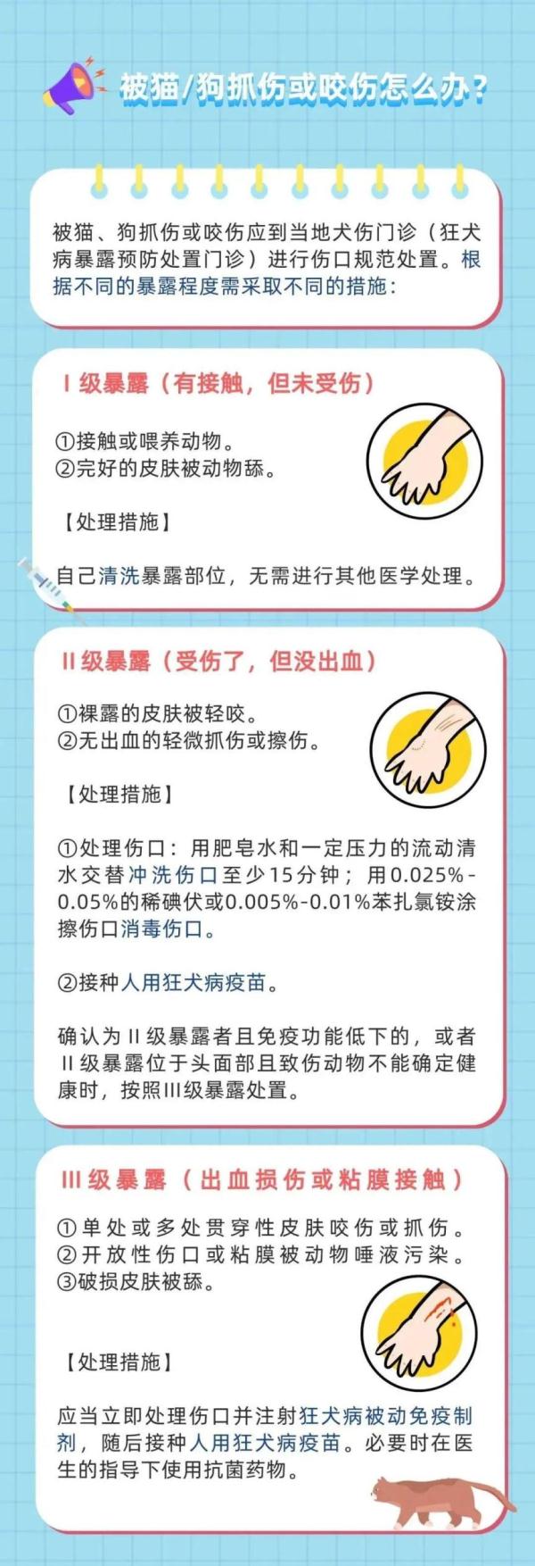 狂犬病发病后致死率近100%！这些救命知识要知道