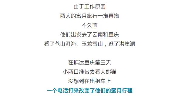 新婚夫妻度蜜月，回程还多带了一人