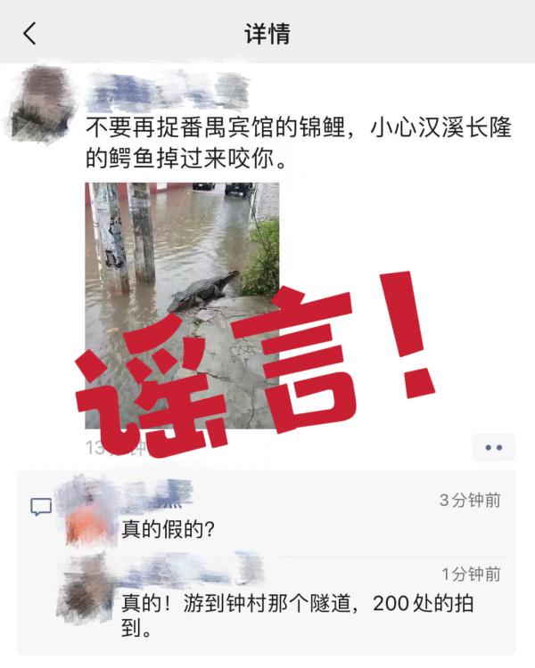 长隆鳄鱼出逃？这些均为谣言→