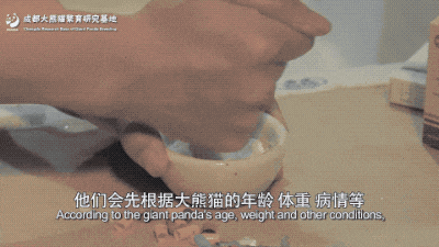 大熊猫和花，暂停展出！