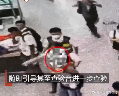 震惊！女子身藏15条蛇4条蜈蚣1条蜥蜴入境