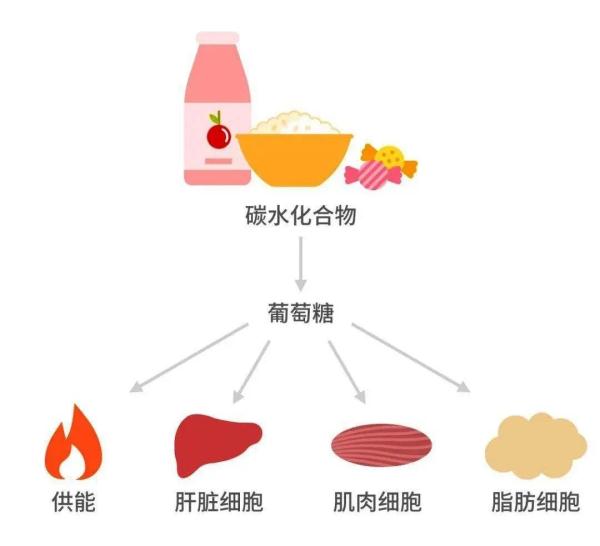 碳水化合物 也要挑着吃