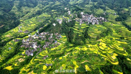 转存美景!广西梯田一眼治愈强迫症 转存美景!广西梯田一眼治愈强迫症
