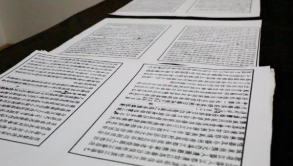大学生接力，让这位教授有了300多双“眼睛”