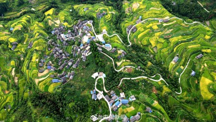 转存美景!广西梯田一眼治愈强迫症 转存美景!广西梯田一眼治愈强迫症