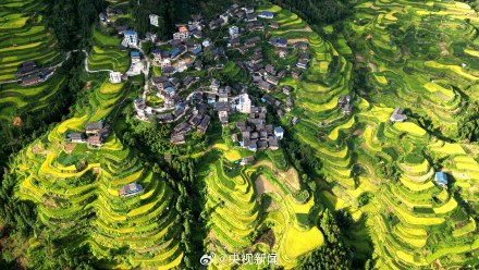 转存美景!广西梯田一眼治愈强迫症 转存美景!广西梯田一眼治愈强迫症