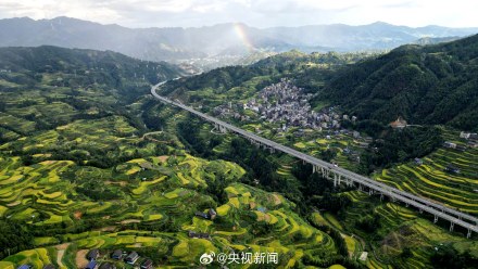 转存美景!广西梯田一眼治愈强迫症 转存美景!广西梯田一眼治愈强迫症