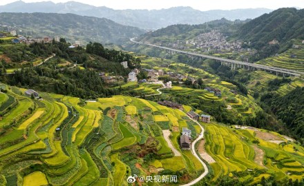 转存美景!广西梯田一眼治愈强迫症 转存美景!广西梯田一眼治愈强迫症