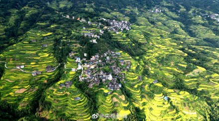 转存美景!广西梯田一眼治愈强迫症 转存美景!广西梯田一眼治愈强迫症