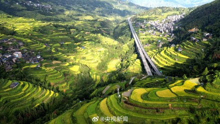 转存美景!广西梯田一眼治愈强迫症 转存美景!广西梯田一眼治愈强迫症