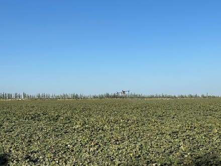 阿克苏地区沙雅县：算好节水账，迈向现代农业