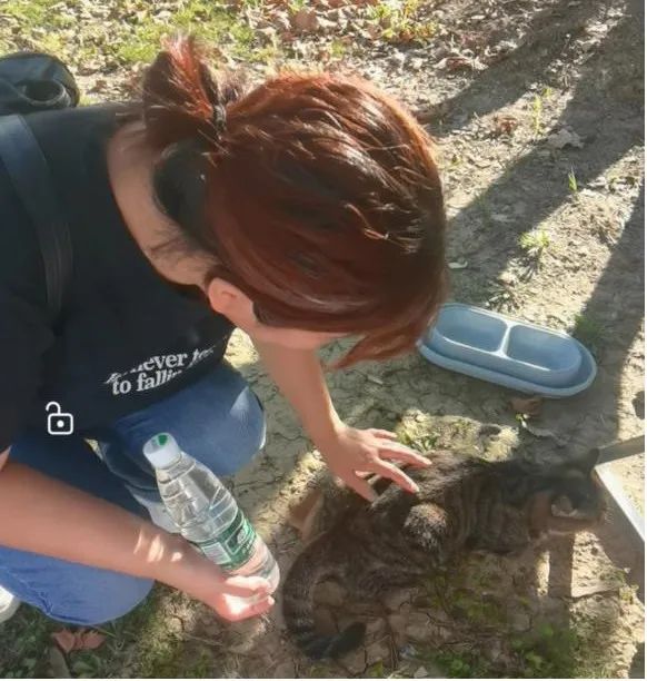 “开学了,妈妈替你去报到!” “开学了,妈妈替你去报到!”
