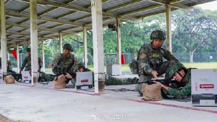 混编联训开始!中新“合作-2023”陆军联合训练 混编联训开始!中新“合作-2023”陆军联合训练