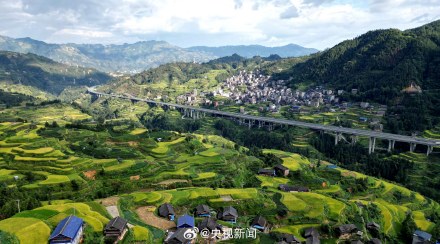 转存美景!广西梯田一眼治愈强迫症 转存美景!广西梯田一眼治愈强迫症