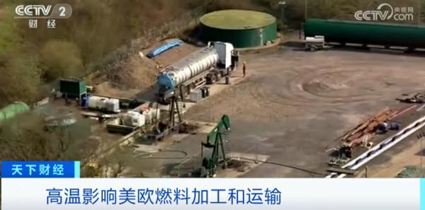 高温致命！数千人死亡！专家紧急提醒