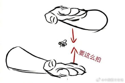 秋季温度更适合蚊子生存