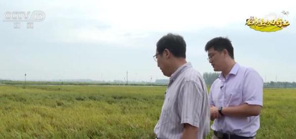 农作物生长形势明显好于常年 辽宁多举措支撑粮食稳产增产