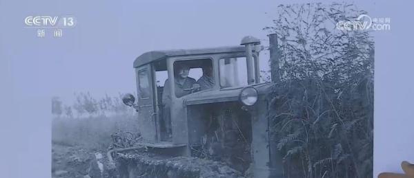 “稻田养蟹”一地双收 昔日“不毛之地”变身今日“鱼米之乡”