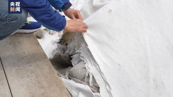 给阿尔卑斯山冰川盖“被子”，长达20年的保护措施效果如何？