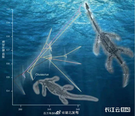 湖北南漳发现新物种襄楚龙！是2.48亿年前全球最早的肿肋龙