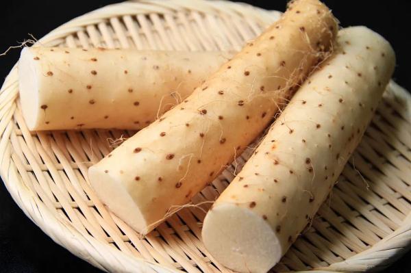 秋季养胃正当时!常吃5种食物,收获健康胃~ 秋季养胃正当时!常吃5种食物,收获健康胃~