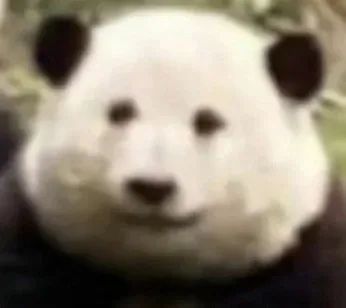 消防员为男子的后“股”之忧出警两次 消防员为男子的后“股”之忧出警两次