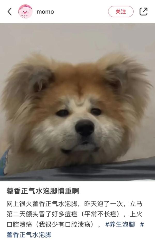 藿香正气水泡脚火了！有人真瘦了…谁都可以"插一脚"吗?